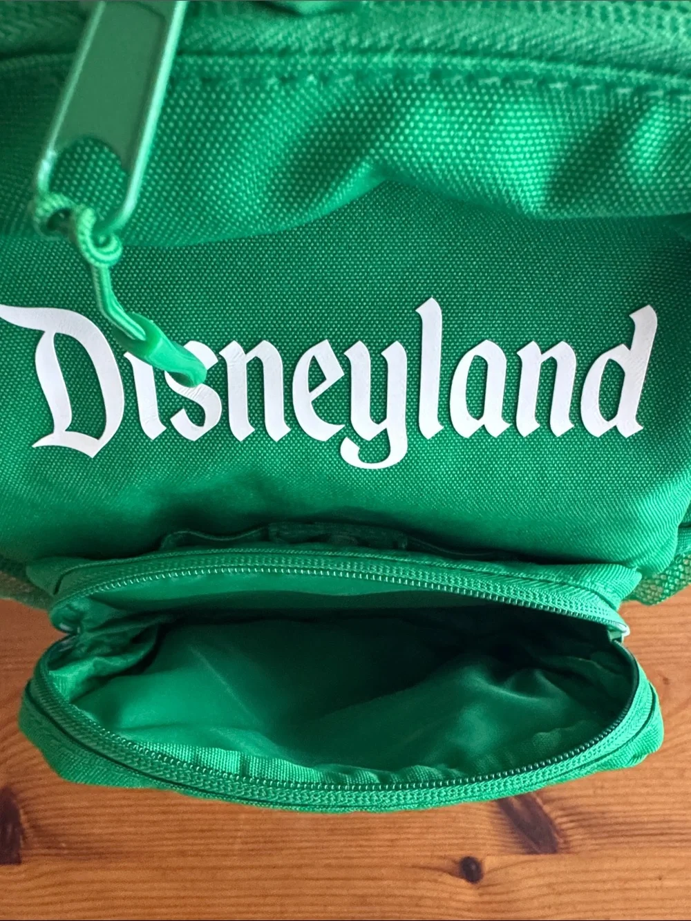 Disney Disneyland Resort Green Icon Mania Small Backpack